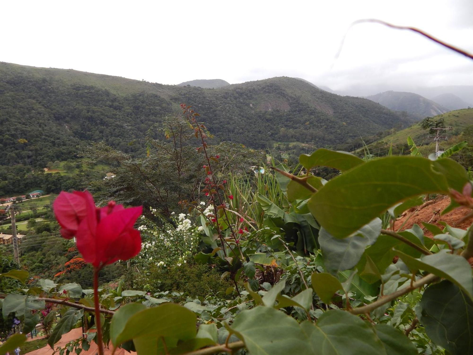 Pousada Quinta Do Alto Itaipava ห้อง รูปภาพ